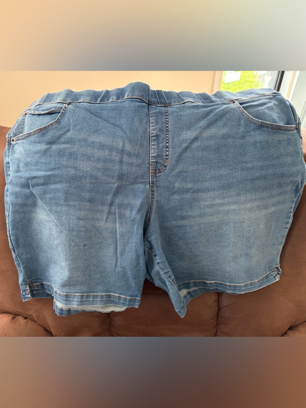 Terra and Sky 4x Classic Blue Denim Shorts